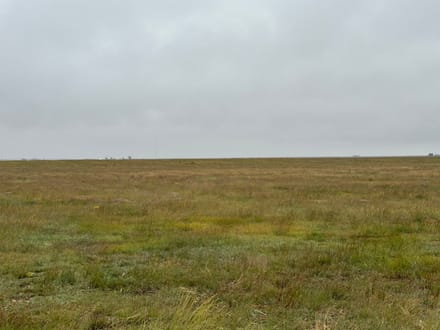 GRANT COUNTY KS 314 ACRES WITH WATER RIGHTS AND CRP INCOME