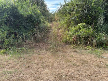 East Webster Hunting and Homesite