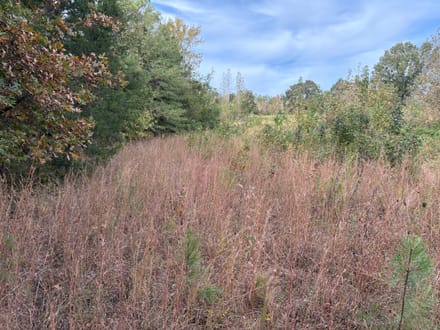East Webster Hunting and Homesite