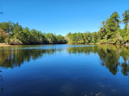 213 Acres, Pond and Cabin