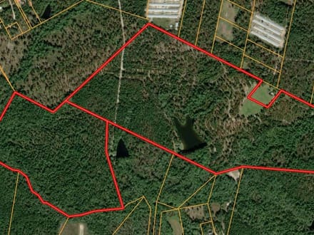 213 Acres, Pond and Cabin