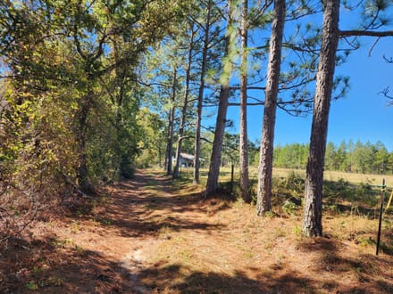 213 Acres, Pond and Cabin