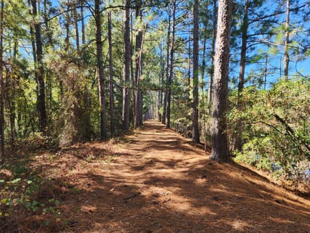 213 Acres, Pond and Cabin
