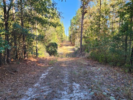 213 Acres, Pond and Cabin