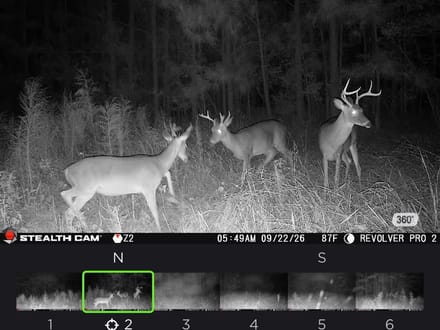 85 +/- Ac. Sportsmans Paradise, Eagle Springs NC