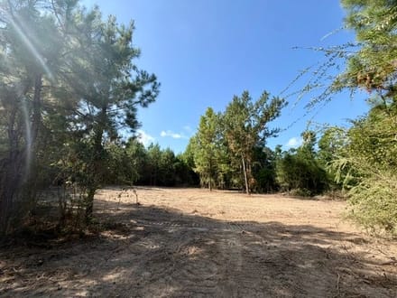18 Acres Washington Parish | LA