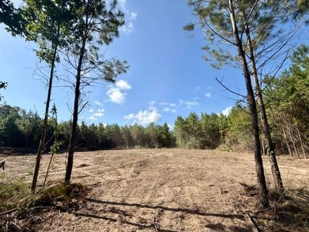 18 Acres Washington Parish | LA