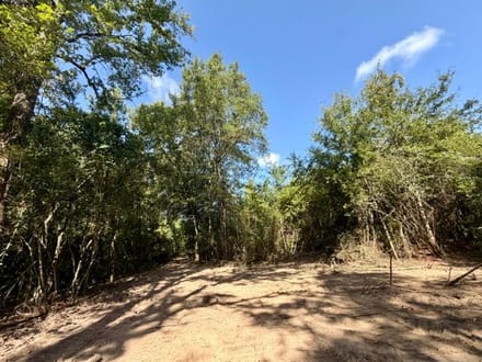 18 Acres Washington Parish | LA