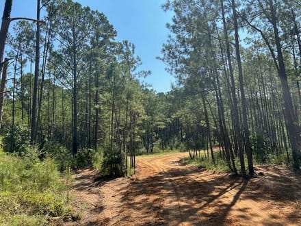 53 acres Charlie Rhodus Road 