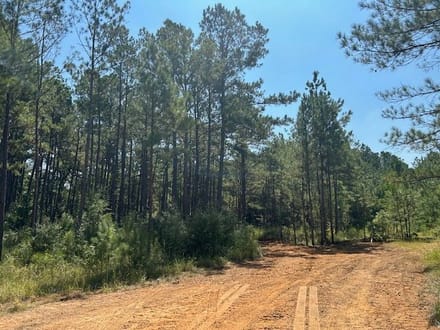 53 acres Charlie Rhodus Road 