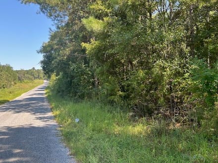 53 acres Charlie Rhodus Road 