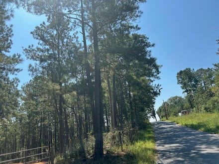 53 acres Charlie Rhodus Road 