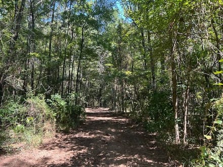 53 acres Charlie Rhodus Road 