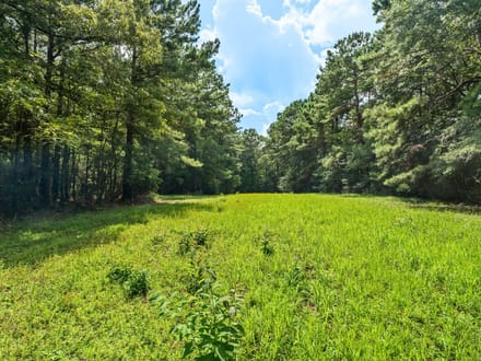 Home & 130 Acres