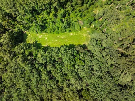 Home & 130 Acres