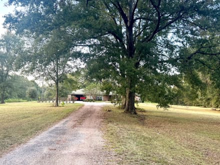 Home & 58 acres