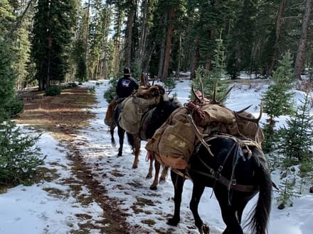 Southwest Colorado Elk and Mule Deer Wilderness Outfitting Business for Sale | GMUs 74 & 75