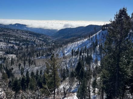 Southwest Colorado Elk and Mule Deer Wilderness Outfitting Business for Sale | GMUs 74 & 75