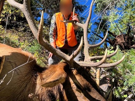 Southwest Colorado Elk and Mule Deer Wilderness Outfitting Business for Sale | GMUs 74 & 75