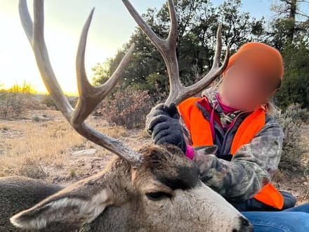 Southwest Colorado Elk and Mule Deer Wilderness Outfitting Business for Sale | GMUs 74 & 75