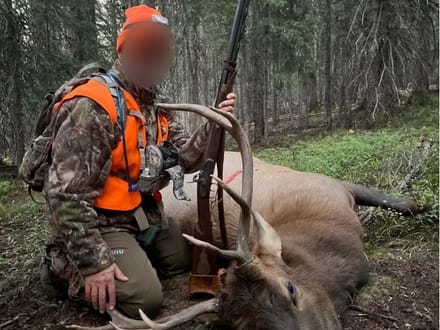 Southwest Colorado Elk and Mule Deer Wilderness Outfitting Business for Sale | GMUs 74 & 75