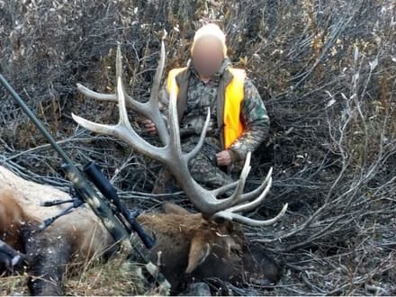 Southwest Colorado Elk and Mule Deer Wilderness Outfitting Business for Sale | GMUs 74 & 75