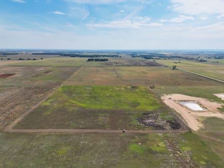 90± Acres | Bermuda Pasture & Country Homesite