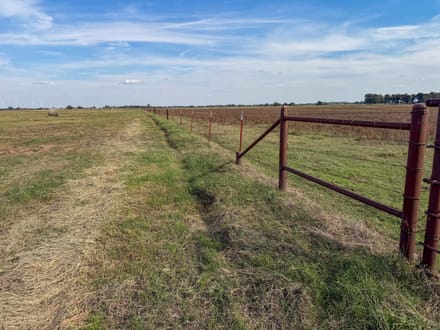 90± Acres | Bermuda Pasture & Country Homesite