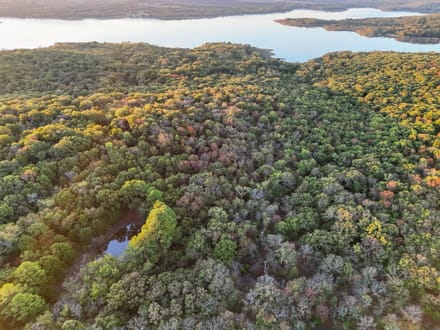 120+/- acre Recreational/Hunting with Trophy bass lake next door!