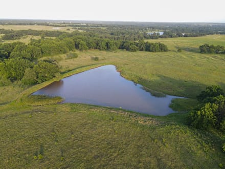Lincoln County 50 | Big Pecans, Quiet Creek & Pond
