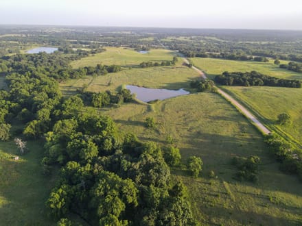 Lincoln County 50 | Big Pecans, Quiet Creek & Pond