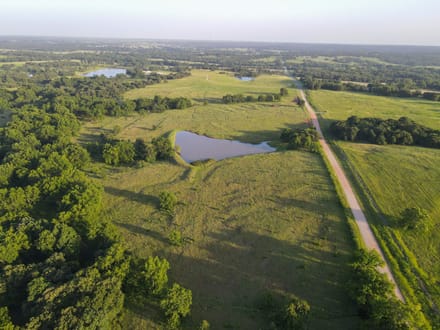 Lincoln County 50 | Big Pecans, Quiet Creek & Pond