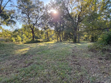 Lincoln County 50 | Big Pecans, Quiet Creek & Pond