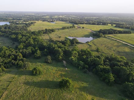 Lincoln County 50 | Big Pecans, Quiet Creek & Pond