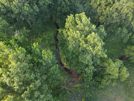 Lincoln County 50 | Big Pecans, Quiet Creek & Pond