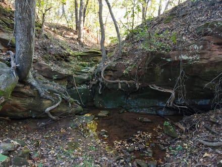 Lincoln County 50 | Big Pecans, Quiet Creek & Pond