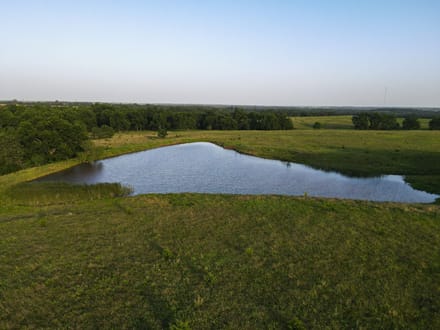 Lincoln County 50 | Big Pecans, Quiet Creek & Pond