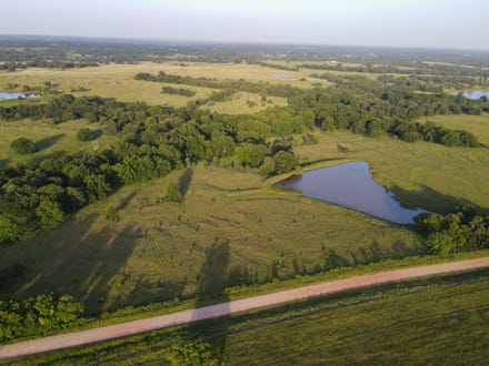 Lincoln County 50 | Big Pecans, Quiet Creek & Pond