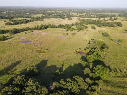 Lincoln County 64 | Oaks, Ponds, Pastures & Open Views