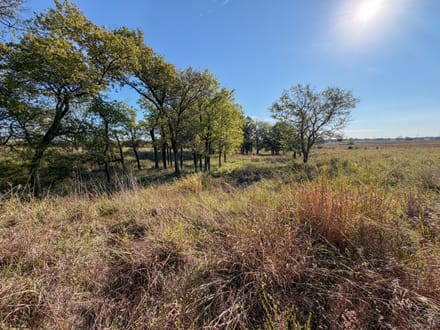 Lincoln County 64 | Oaks, Ponds, Pastures & Open Views