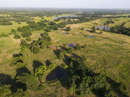 Lincoln County 64 | Oaks, Ponds, Pastures & Open Views