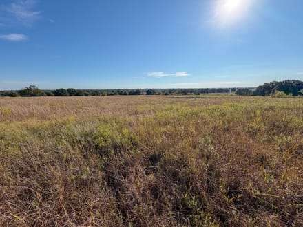 Lincoln County 64 | Oaks, Ponds, Pastures & Open Views