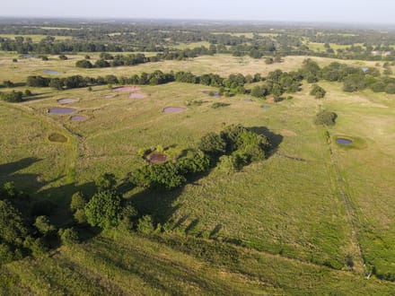 Lincoln County 64 | Oaks, Ponds, Pastures & Open Views