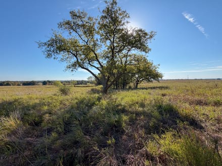 Lincoln County 64 | Oaks, Ponds, Pastures & Open Views