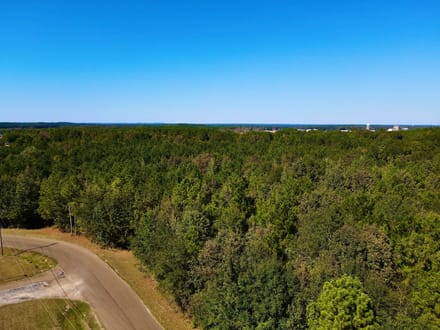 17.5 beautiful Acres of undeveloped land