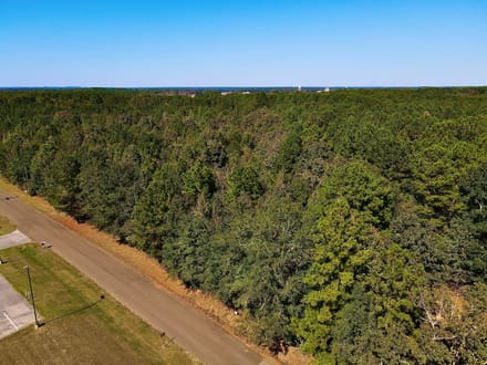 17.5 beautiful Acres of undeveloped land