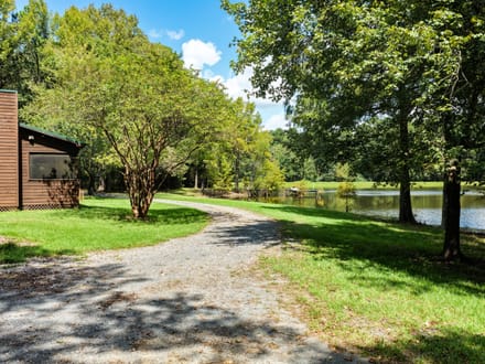 Blue Hollow Farm of Bossier Parish, +/-410 Acres