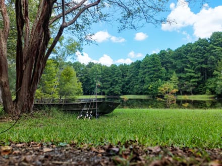 Blue Hollow Farm of Bossier Parish, +/-410 Acres