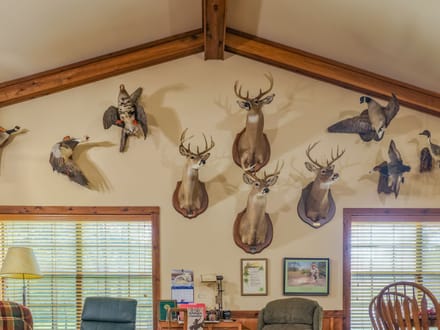 Blue Hollow Farm of Bossier Parish, +/-410 Acres