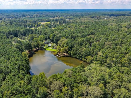 Blue Hollow Farm of Bossier Parish, +/-410 Acres